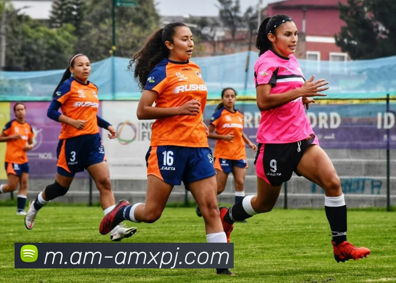 澳门新葡京娱乐发展历程